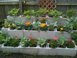 28+ Brilliant And Beautiful Cinder Block Ideas For Your Home Yard ...